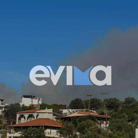 Φωτιά τώρα στην Εύβοια – Κοντά σε σπίτια οι φλόγες