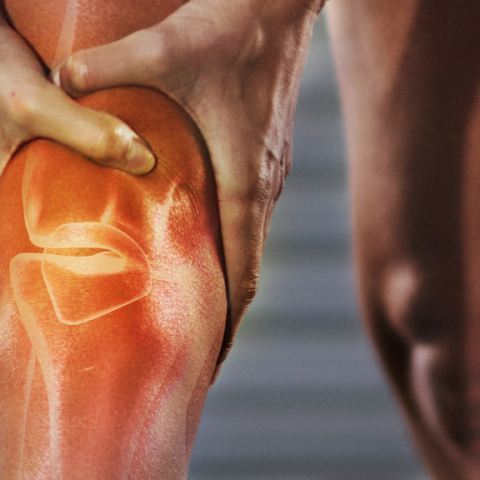 Συχνές κακώσεις γόνατος στους αθλητές και εξατομικευμένη χειρουργική αντιμετώπιση 