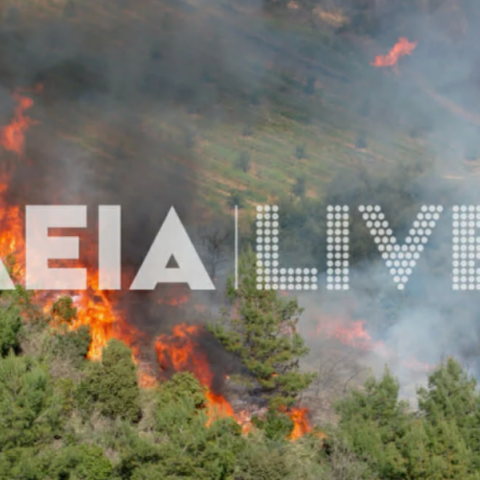 Μεγάλη δασική πυρκαγιά σε εξέλιξη στον Ελαιώνα Πύργου - Καίει σε δύο μέτωπα υπό ισχυρούς ανέμους