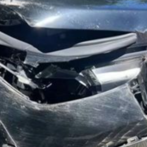 Γρεβενά: Ι.Χ. συγκρούστηκε με αρκούδα – Σώος ο οδηγός