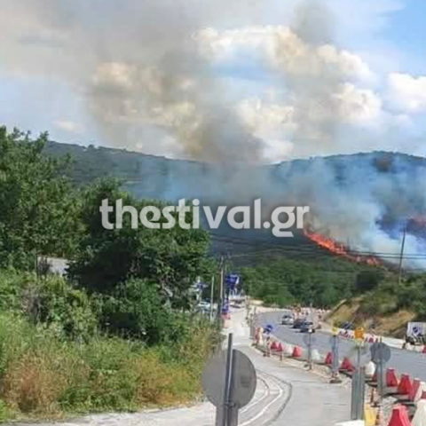 Φωτιά τώρα στο Φίλυρο Θεσσαλονίκης - Ήχησε το 112, «παραμείνετε σε ετοιμότητα»