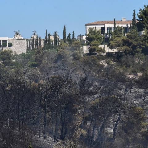 Καμένη έκταση από τη φωτιά στο Κρανίδι