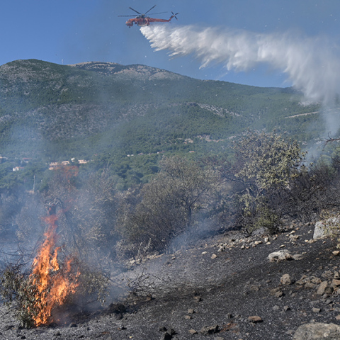 Φωτιά στην Ηλεία