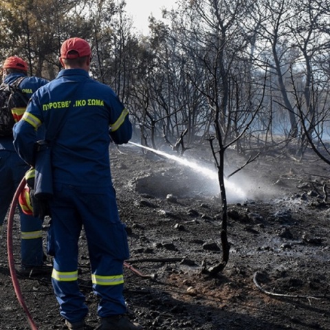 Πυρκαγιά σε δασική έκταση 