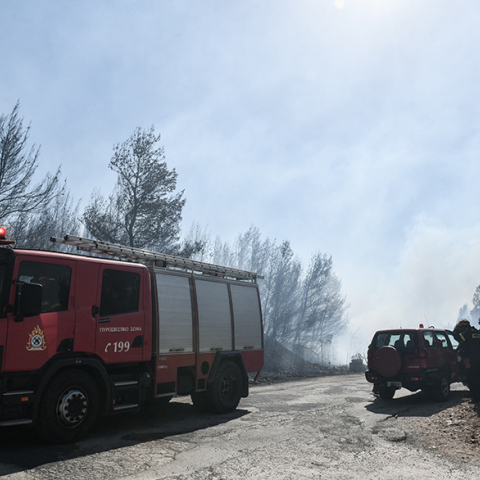 Φωτιά στην χωματερή της Φυλής