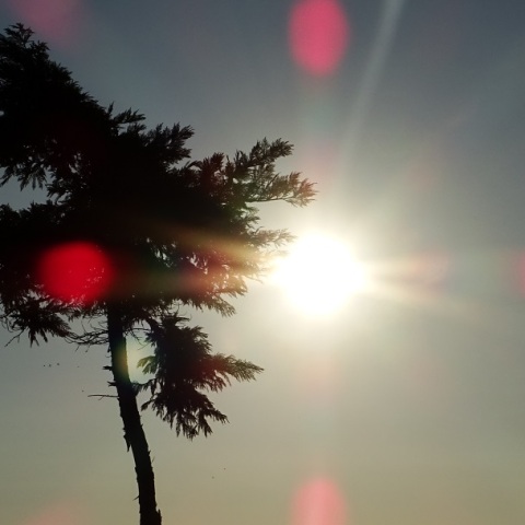 Καιρός: Στους 34 βαθμούς η θερμοκρασία σήμερα - Άνεμοι έως 5 μποφόρ στο Αιγαίο