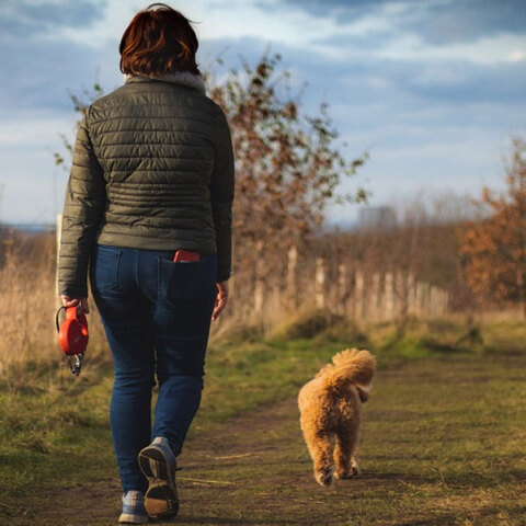 Ιταλία: Με ανάλυση DNA θα εντοπίζονται οι ιδιοκτήτες των σκύλων που αφήνουν τα περιττώματα των ζώων τους στον δρόμο