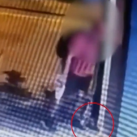 «Δεν το έκανα εγώ, είμαι μορφωμένος», λέει ο 40χρονος που φέρεται να πάτησε το γατάκι