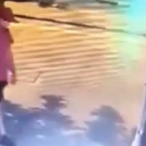 Ο δράστης της θανατηφόρας κακοποίησης γατιού στη Θεσσαλονίκη