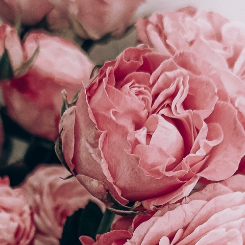 Εορτολόγιο: Σήμερα 25 Ιανουαρίου 2025 γιορτάζει…