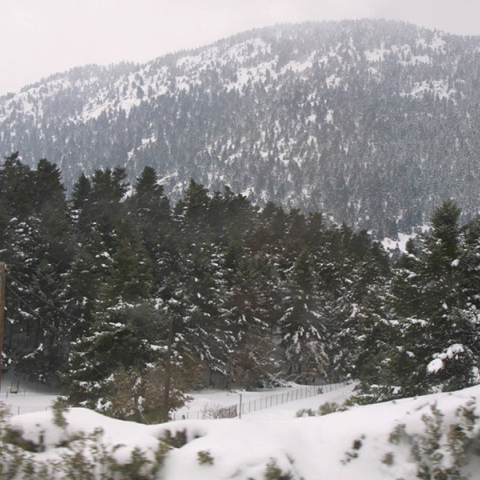 Στα «λευκά» o Παρνασσός