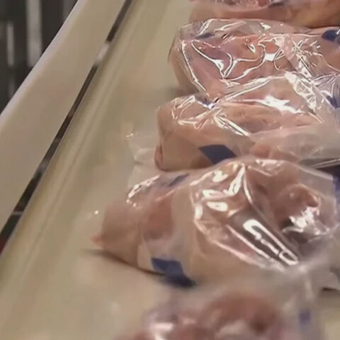 Το Υπουργείο Γεωργίας των ΗΠΑ αναστέλλει τα σχέδια για τον περιορισμό των επιπέδων σαλμονέλας στο ωμό κοτόπουλο