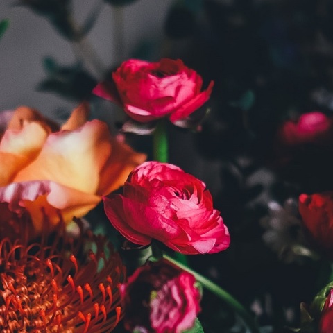 Εορτολόγιο: Σήμερα, 15 Φεβρουαρίου 2025, γιορτάζει…