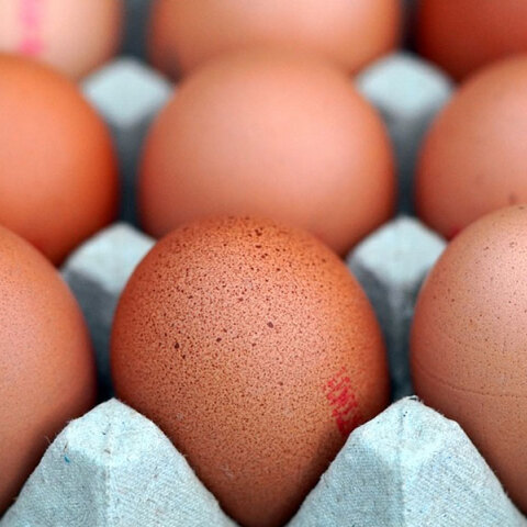 Είδος πολυτελείας γίνονται τα αυγά στη Βρετανία