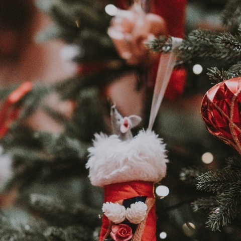 Ήρθε η αγαπημένη εποχή των μικρών παιδιών