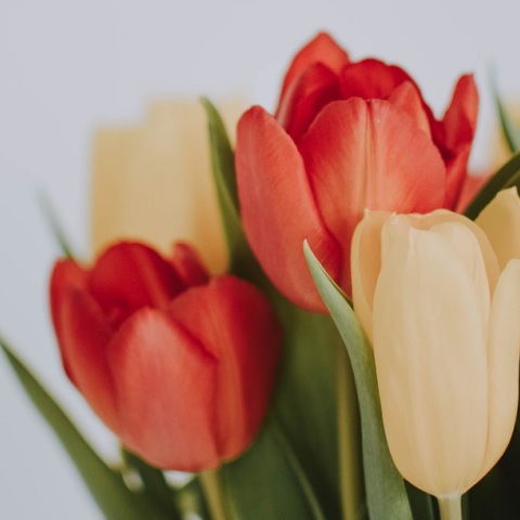 Εορτολόγιο: Σήμερα, 14 Ιανουαρίου 2025 γιορτάζει…