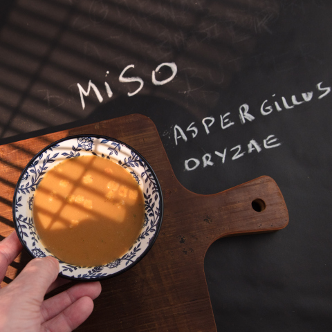 Το ασιατικό υλικό miso