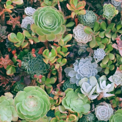 Εορτολόγιο: Σήμερα 25 Οκτωβρίου 2023 γιορτάζει…