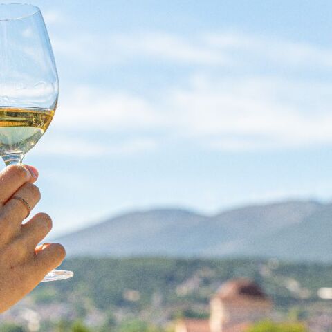 Το καλοκαιρινό μεγαλείο της Ρομπόλας και 5 ετικέτες για να την απολαύσεις