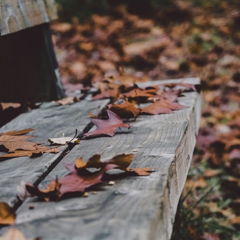 Εορτολόγιο