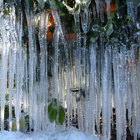 Παγετός σε περιοχές της χώρας