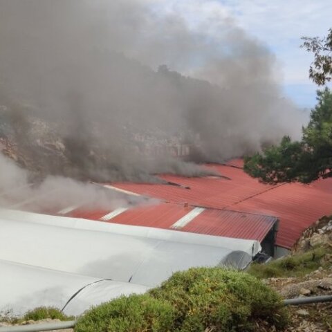 Χίος: Άνω του 1 εκατ. ευρώ οι ζημιές στον Νηρέα από τη φωτιά στις εγκαταστάσεις του