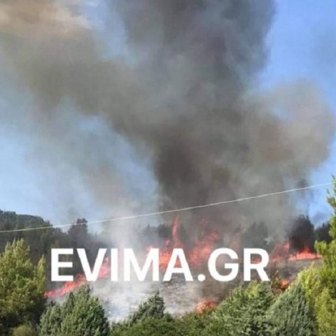 Φωτιά στην Εύβοια