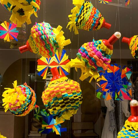 Paolia, "Undomesticated"