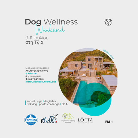 Dog Wellness Weekend