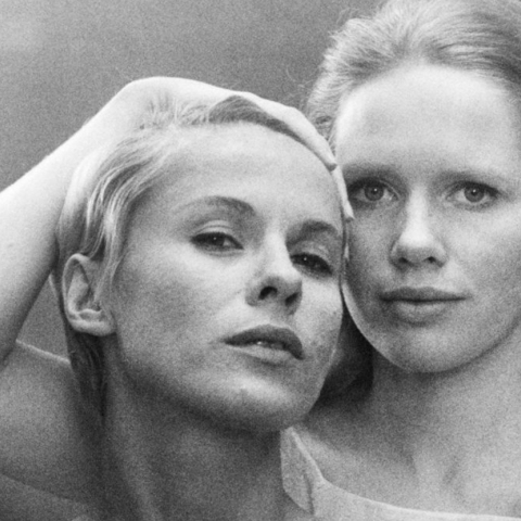 ingmar-bergman-persona-mirror-scene.jpeg