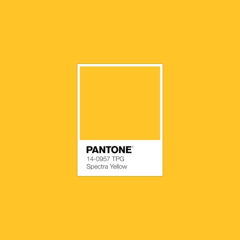 pantone-12.jpeg