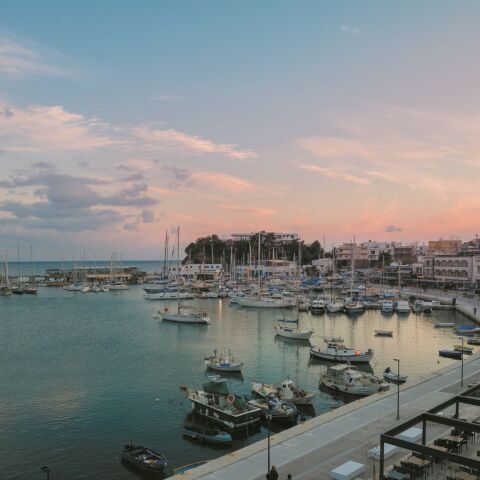 Horizon Rooftop of senses