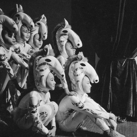 Παύλος Κοζαλίδης, «Το σπίτι των πεταλούδων» στο Μουσείο Μπενάκη