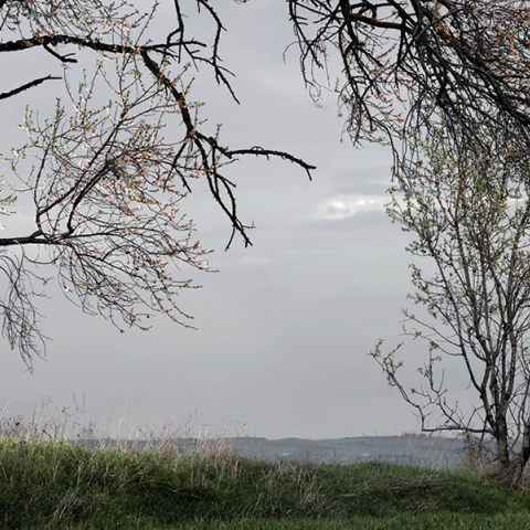 Στράτος Καλαφάτης «Οψόμεθα εις Φιλίππους» στην γκαλερί Bernier/Eliades