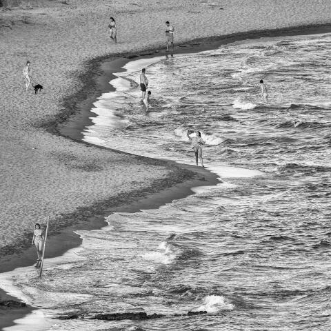 Νίκος Αλιάγας