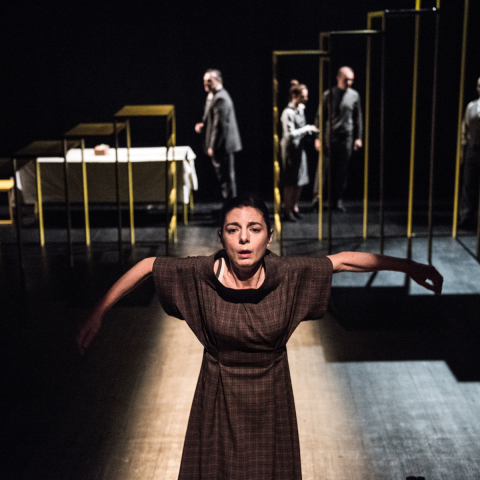 Δέσποινα Κούρτη, «Μάκιναλ» (Θέατρο του Νέου Κόσμου) 