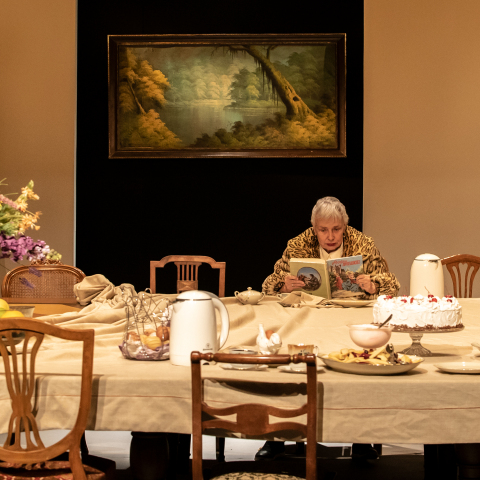 Δημήτρης Καραντζάς, «Θείος Βάνιας» (Θέατρο Προσκήνιο)