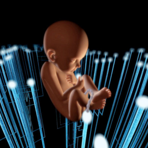 «Δαρβίνος: το Μυστήριο της Φύσης» στον Ελληνικό Κόσμο