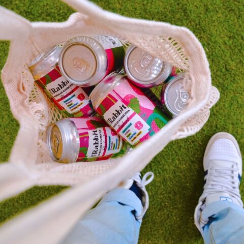 Punk Rabbit by the Superdrinks