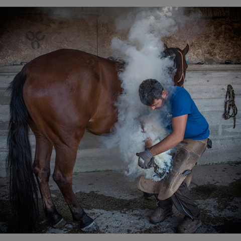 Φωτογραφία του Βαγγέλη Τσιάμη