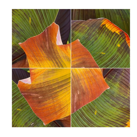 «Ο Κήπος των Εσπερίδων» της Αγνής Χρονοπούλου στην Art Zone Gallery 42