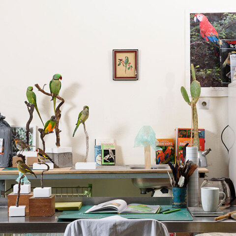 «Γιώργος Γεροντίδης. A flock of fakes: ορισμοί του μη φυσικού» στο MOMus-Μουσείο Άλεξ Μυλωνά