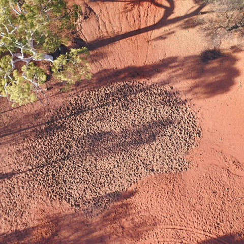 Akin: Céline Condorelli και Angela Melitopoulos στο TAVROS