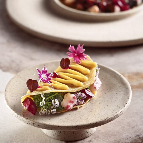 Πιάτο στο CTC