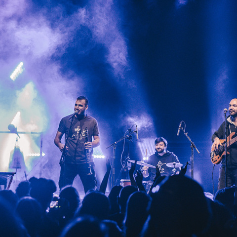 Βουκολική Διαταραχή και Σουρλουλού στο Κύτταρο