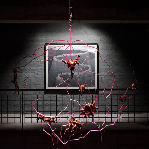 Εξ φρενών από ευχαρίστηση