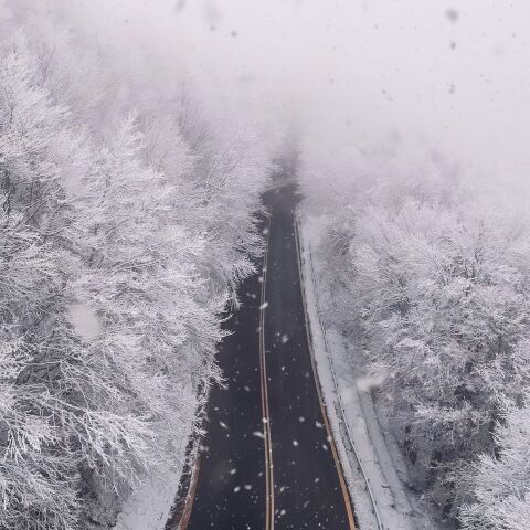 Bill Prokos Photography @bill_prokos_