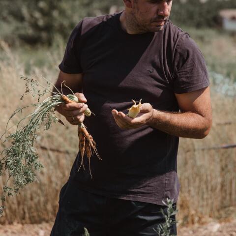 Γκίκας Ξενάκης (Aleria)  