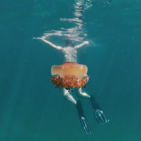 Matt Louder @mattlouder 