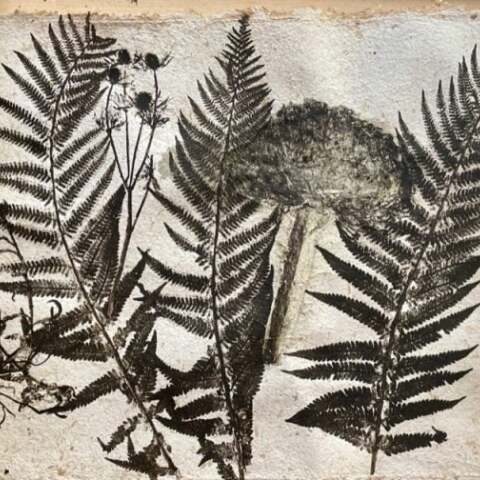 Maria-Marika Koenig: «Roots With Empty Soil» στην γκαλερί 7